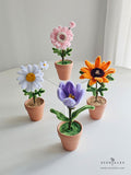 Mother's Day 2024 Scentales Dainty Flower Pot (Johor Bahru Delivery Only)