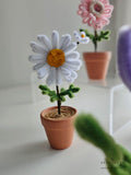 Mother's Day 2024 Scentales Dainty Flower Pot (Johor Bahru Delivery Only)