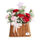 Lunara Red Carnation Flower Basket