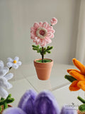 Mother's Day 2024 Scentales Dainty Flower Pot (Johor Bahru Delivery Only)