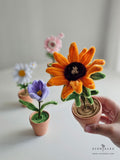 Mother's Day 2024 Scentales Dainty Flower Pot (Johor Bahru Delivery Only)