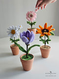 Mother's Day 2024 Scentales Dainty Flower Pot (Johor Bahru Delivery Only)