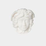 Head of Medusa [Nationwide Delivery]