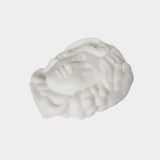 Head of Medusa [Nationwide Delivery]