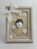 Pet Plaster 3D Avatar