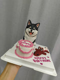 3D PETCAKE+SMALL CAKE-Custom Pet Birthday Cake (Klang Valley Delivery)