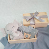 Baby Gift Set: Joy Haven (Nationwide Delivery)