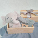 Baby Gift Set: Joy Haven (Klang Valley Delivery Only)