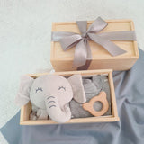 Baby Gift Set: Joy Haven (Nationwide Delivery)