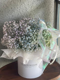 Pastel Baby’s Breath Bloom Box (Klang Valley Delivery)