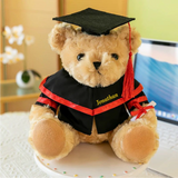 Personalised Graduation Bear (Klang Valley Delivery)