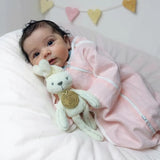 Angeliz Memory Swaddle Bear Baby Hamper Set 9 Pcs- Pink ( Klang Valley Delivery Only)