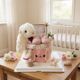 Angeliz Bunny Friend Outing Baby Hamper Set 11 Pcs (Klang Valley Delivery)