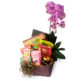 Selvam – Deepavali Phalaenopsis Orchid & Vegetarian Hamper (Klang Valley Delivery Only)