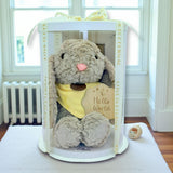 Angeliz Billy Bunny Love Me Soft Toy 4pcs Cakebox Set( Klang Valley Delivery Only)