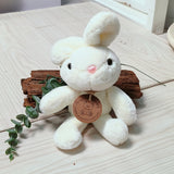 Angeliz Wishing Balloon Lucky Bunny Baby Hamper Set 11 Pcs-Neutral (Klang Valley Delivery)