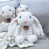 Angeliz Bunny Friend Outing Baby Hamper Set 11 Pcs (Klang Valley Delivery)