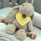 Angeliz Billy Bunny Love Me Soft Toy 4pcs Cakebox Set( Nationwide Delivery)