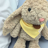 Angeliz Billy Bunny Love Me Soft Toy 4pcs Cakebox Set( Nationwide Delivery)