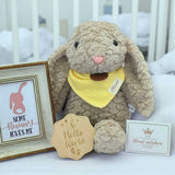 Angeliz Billy Bunny Love Me Soft Toy 4pcs Cakebox Set( Nationwide Delivery)