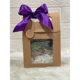 Lively Pots of Succulent Plant Garden Gift Set with Personalised Custom Message/Name (Klang Valley Delivery)
