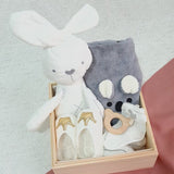 Baby Gift Set: Snowy Serenity (Nationwide Delivery)