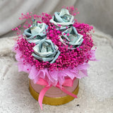 Money Rose with Baby Breath Gift Box (Pahang Delivery Only)