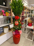 CNY 2025 Auspicious Pineapple Queen Bamboo (size XL)