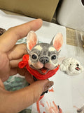 Pet Plaster 3D Avatar