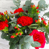 520 Crimson Bloom Flower Vase (Klang Valley Delivery Only)