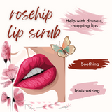 Lip Balm Collection