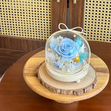 Della Preserved Flower Globe