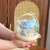 Della Preserved Flower Globe