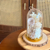 Darlene Preserved Flower Bell Jar