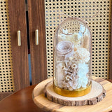 Darlene Preserved Flower Bell Jar