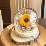 Villy Preserved Flower Globe