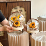 Villy Preserved Flower Globe