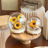 Villy Preserved Flower Globe