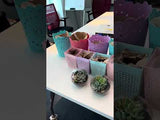 Little Eden Succulents Terrarium Making Workshop- Team Building Activities in KL and Selangor for 2026