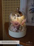 Scentales Always & Forever Bell Jar Lamp (No Text) (Johor Bahru Delivery)