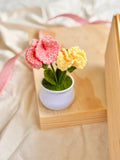 Her Quiet Moments | Personalized Gift Box, Towel, Thermal Flask, Birdnest, Facial Mask & Carnation Flower (Nationwide Delivery)