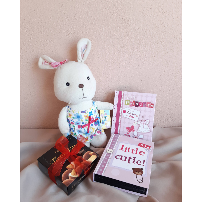 Cute Rabbit Soft Toy, Chocolate and 4R Photo Album Gift Set (Klang Valley Delivery)