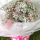 Mixed Pink & White Baby's Breath