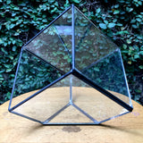Cube Design Large Copper Frame Terrarium - Black