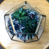 Geode Design Medium Copper Frame Terrarium - Gold