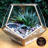 Geode Design Medium Copper Frame Terrarium - Gold