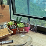 Slanted Succulent Terrarium Glass (L) DIY Set- Christmas 2023 (West Malaysia Delivery Only)