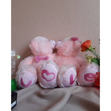 LOVE Kisses Couple Teddy Bear with Mini Artificial Flower, Chocolate, 4R Photo Frame in a Printed Gift Box (Klang Valley Delivery)