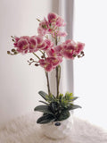 Premium Latex Artificial Orchid Flowers in Pot ( 3 Stalks )