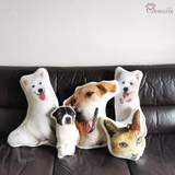 Paws Memorie Personalised Pet's Pillow | Front View (Nationwide Delivery)